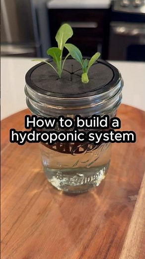 How to build a hydroponic system at home #shorts
