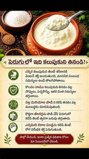 What Happens When You Eat Curd with These Ingredients Daily? | Amazing Health Benefits