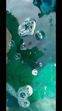 How To Tell If Your Koi Eggs Are Hatching!