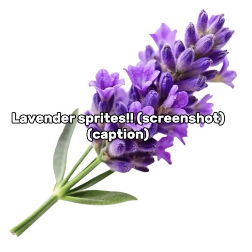 I don't know, why every time I try to post my oc sprites, it always gets deleted by TikTok, because of violations??????? I'm fCk1ngVery confused... What is the problem😭😭?? but, i wish, I could post this... - ⸼ׄ ׅ𖦹˚.🪻✦ #fandom❓you❓me✅ #fandomhaters✅ #fandomlovers✅ #partyexe❌ #sprites