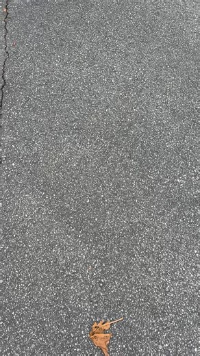 I like to edit off screen as much as possible. My gift to self is this fancy print out of the full first draft where I will toss it around until I get it just right. It will join the bin of paper edits soon and be a token of the journey. 🤎 🤎 🤎 🤎 🤎 #writingprocess #novelwriting #writing #friendship #parentification #alchemy #alchemist #youth #collegedays #growingpains #workinprogress #edits #manuscript #manuscripts #writersofinstagram #writer #celebratethemilestones #miles #findingjoys #trus