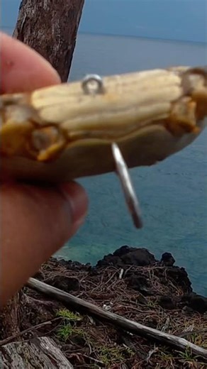 I'm fishing with a huge crab.