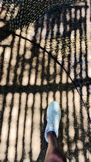 A bonsai in the belly of a puff adder. Balance is everywhere. #Bonsai-ka.