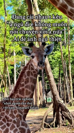 # Trải nghiệm tour