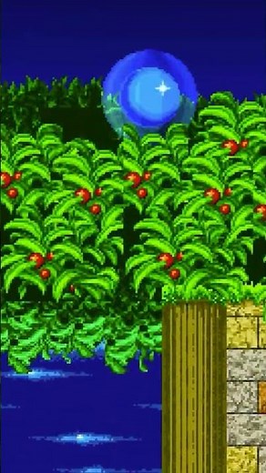 Sonic Mania: The Misfits Pack Mod SAGE 2020 Demo | Preview