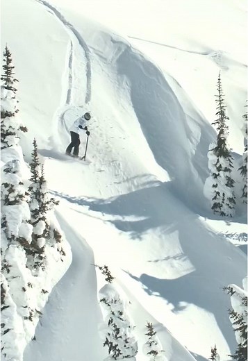 ereticsnowscoot on TikTok