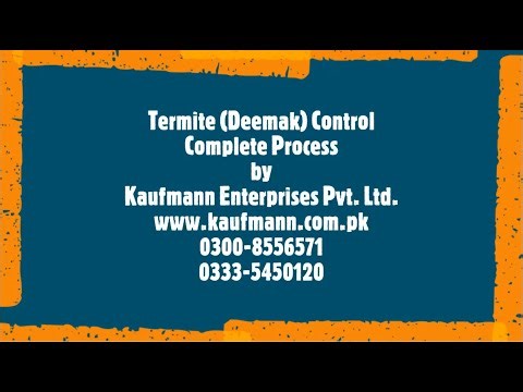 Termite Control Process Step by Step Deemak Control & Termite Proofing Services Kaufmann Enterprises