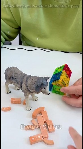 Made a Beautiful 😍 House For mouse 🐭 | Tiger Confused #diy #craft #toys #house