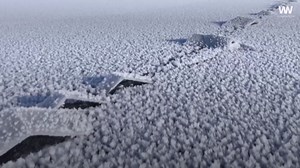 Drone captures 'ice flowers' in bloom on frozen lake in northern China