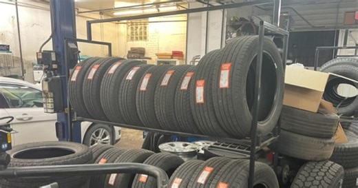Could polar bear paws lead to better tire traction? UA researchers trying to get a grip on the answer.