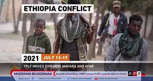 #Aljaziraan wa’ee WBO fi waranaa tigray mal jedhe,, Labsiin mudamaa hoo?? | Bale Show