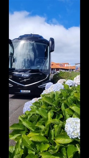 Viemos ao Campo de Golfe do Santo da Serra 🏌‍♂️⛳️ | Vip Rc Transports