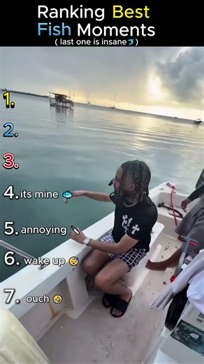 Ranking Best Fish Moments 🐬 #fishing #fish #fishvideo #fishinglife