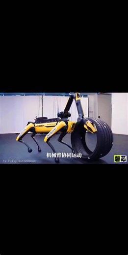 双算法加持！解锁Spot全身操控极限。RAI研究院2025最新重磅研究！波士顿动力Spot融合强化学习 采样控制，实现全程完全自主全身动态操控；打破机械臂载重限制，通过四肢、机身、机械臂动态切换接触点，操控15kg高惯性重型轮胎。依托OptiTrack外部动捕定位，外接计算机分担算力，完成扶正、推移、堆叠等高难度动作，重构了非夹持重载机器人的控制逻辑。 #Spot机器人 #波士顿动力 #强化学习