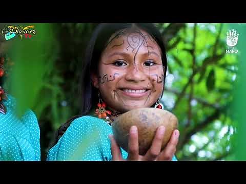 JUMANDI - El Indio Amazónico - César Grefa - música kichwa de la Amazonía - CCE NAPO ECUADOR