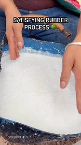 Satisfying Rubber Processing 🌳Natural rubber satisfaction 🌿Daily content 💧Follow Inspirgreen for more | Inspirgreen