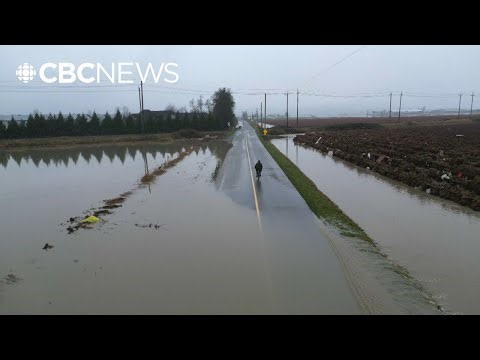 Why experts are pushing to flood agricultural land in B.C.