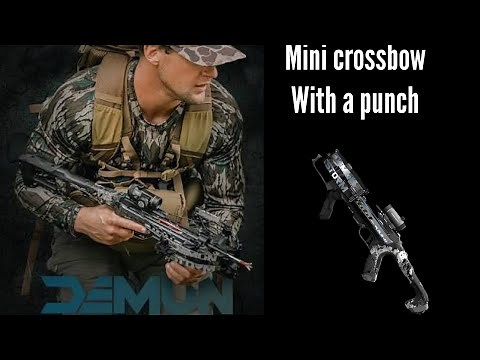 Barnett Demon Storm Review | Mini Crossbow Speed Test & First Shots
