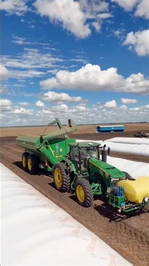 Farmers Are Using Silo Bags For Grain Storage right in the Field 😯