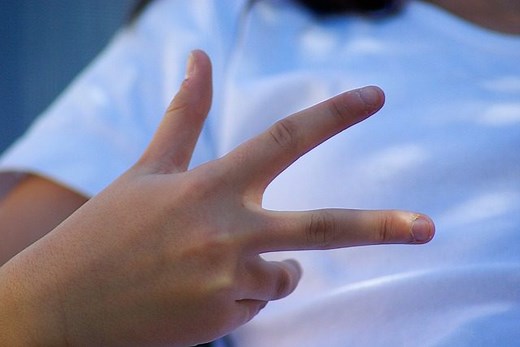 【Third Gender】「第3の性」って？男性でも女性でもない、世界のジェンダー事情【徹底解説！】 | LGBT就活・転職活動サイト「JobRainbow」