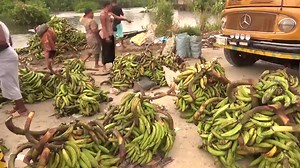 2022 FLOOD UPDATE: Marketers on East-West Road As the flood continues to impact the lives of the people, prices of foodstuff and other consumables have continued to increase. Traders who are finding it difficult to access farm produce due to the magnitude of the flood are calling on government at all levels and public-spirited individuals for quick intervention. Credit: NTA Yenagoa News | Ala - Delight Publicity Services