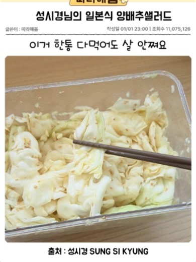 일본식 양배추 샐러드 레시피 — 성시경표 초간단 다이어트 샐러드
