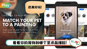 Tips I 宠物长得像街头画作？5个步骤教你用Arts & Culture 配对！