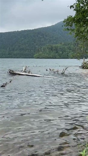 然別湖の波の音 #自然音 #旅行 #shorts