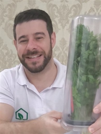 como armazenar coentro e cheiro verde, salsinha para durar mais tempo na geladeira #meuarmazem #esefaltar? #armazenamento