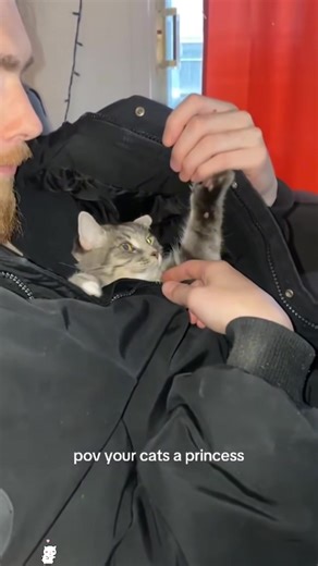 Funny Moments with an Introverted Cat