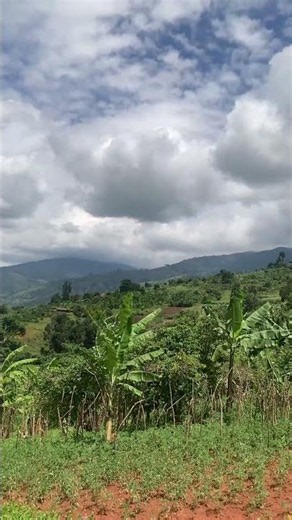 Why Uganda Is Called the Pearl of Africa 🌿✨