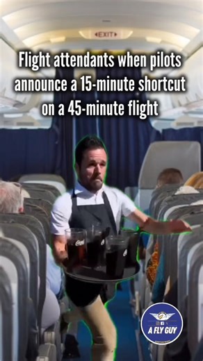 Jay Robert - A Fly Guy on Instagram: "Name the flight... #crewlife #Aviatiohumor #flightattendantlife"