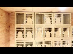 My Ultimate Nest Box Setup, Simple And Effective!!