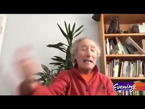 How to make your yard a hummingbird heaven - KING 5 Evening