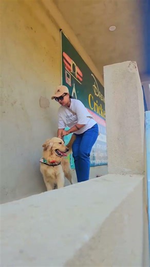 new feature Unlocked 🤣#viral #funny #dog #goldenretreiver #trending #subscribe #youtubeshorts #love