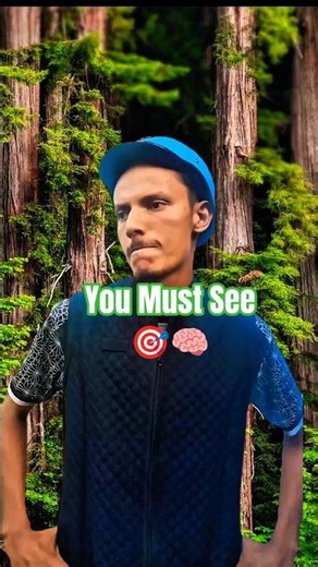 Tree Split into 3 While Falling! #treecutting #unbelievable #shorts