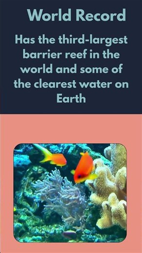 Bahamas: The Clearest Water on Earth is Here 🇧🇸