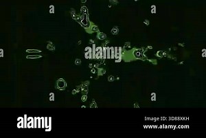 Seamless looping tunnel animation with vibrant colors and dynamic