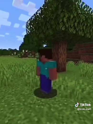 面白いMinecraftミームとプレイの瞬間
