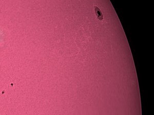 Sun - with spots, including AR2738