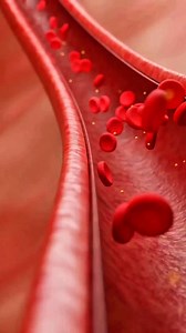 2.7K reactions · 445 shares | 5 best foods that naturally lower bad cholesterol. #health #healthylifestyle #nutrition #cholesterol #hearthealth | Vitalitysphere360 | Facebook