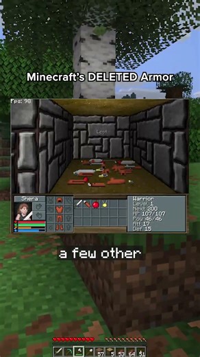 Minecraft’s Deleted Armor