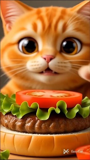 Hungry Cat Makes Burger😺🍔 | Funny Cat Story #shorts #catlover #funny