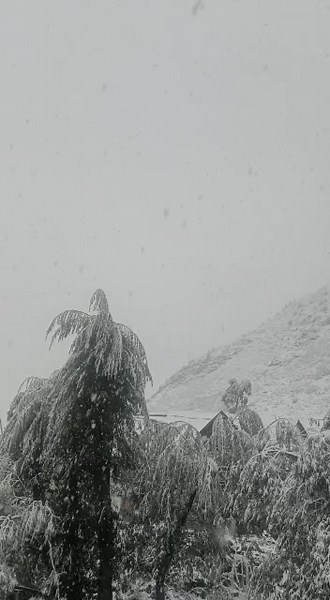 Gurez received the season's first snowfall, Gurez Bandipora road closed for traffic. Bandipora : Gurez valley in north kashmir Bandipora district on thuresday morning received the seasonal first snowfall An official told that the upper reaches of Gurez Valley including Tulail area received snowfall today morning while the plains of Gurez also received light snowfall and rains. | Valley online Gurez