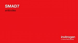 SMAD7 antibodies from Thermo Fisher Scientific