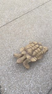 243K views · 10K reactions | Good Morning Friends!珞 It’s Throwback...