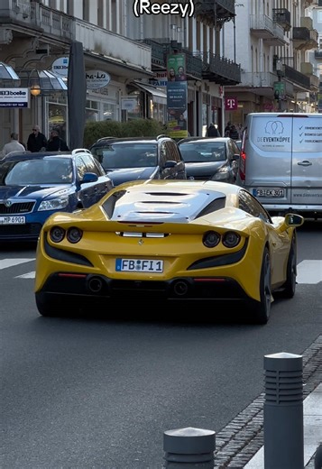 Embracing the First Warm Sunday of Winter's End