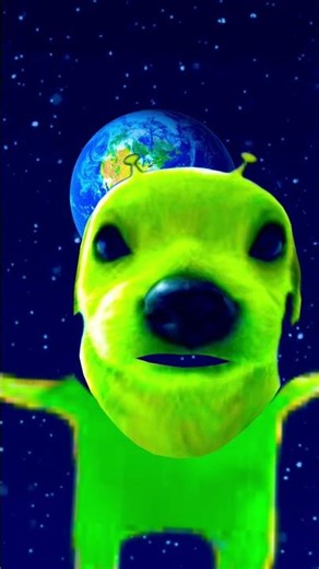 doggo alien panga le raha tha