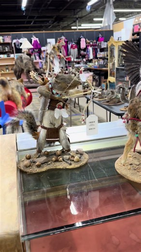 Explore your own backyard.. I found these amazing expressions of animals embodying what my dreams of them look like !! I was so excited I did not even inquire about the creator.. I live 20 away as the crow flys , I’ll go back and learn more! #taxadermy#squirrellashmap #crow#fox #cyote