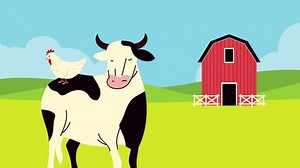 Farm Lifestyle Animation Cow Stable 4k Stock Footage Video (100% Royalty-free) 1079675894 | Shutterstock